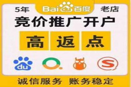 百度竞价广告的成功之路：企业运营案例集